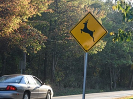 Road Symbol Sign